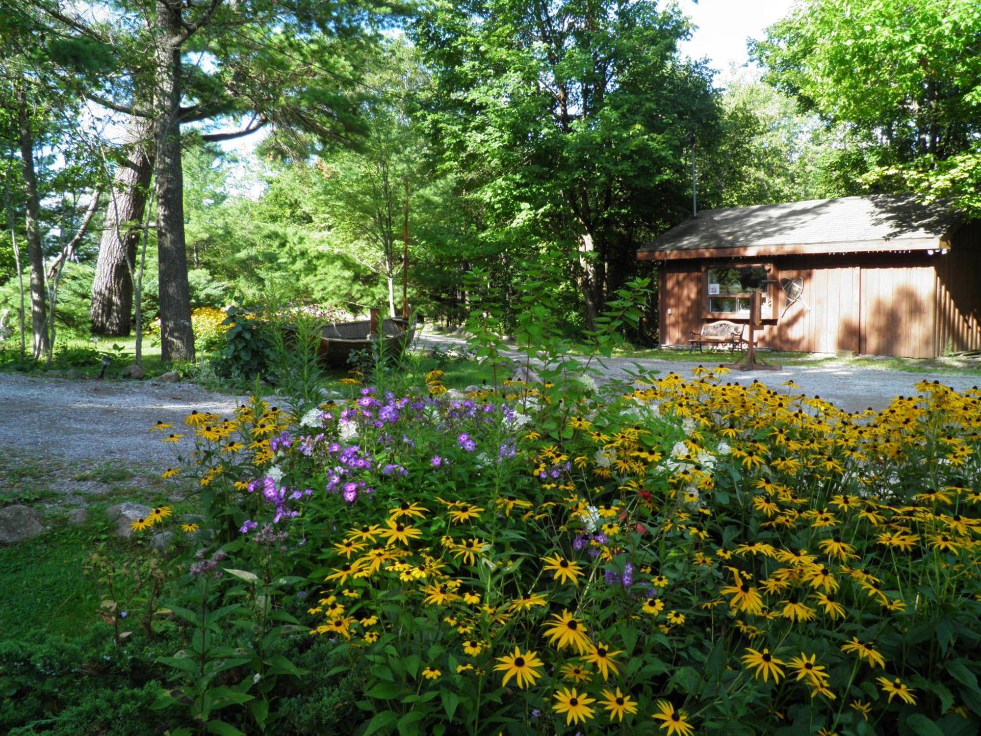 Lodge Westwind On The Buckhorn