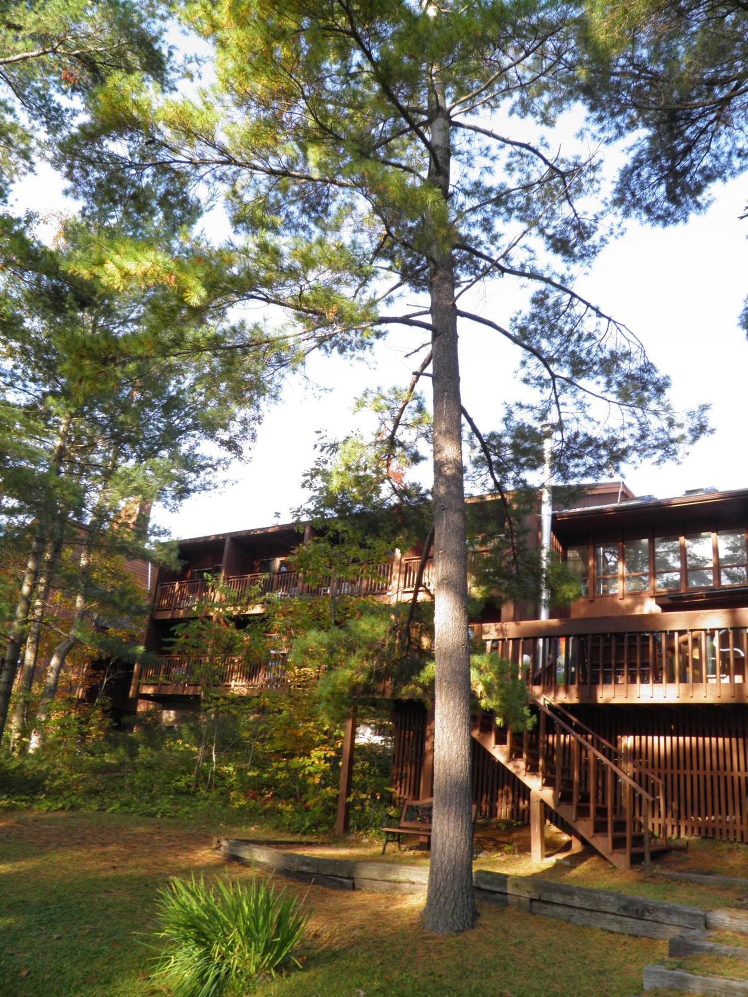 Westwind On The Lodge